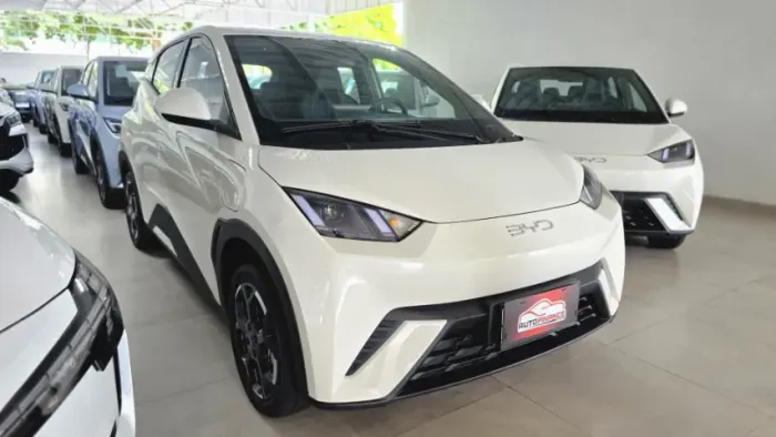 BYD Dolphin Mini (Elétrico) 2027