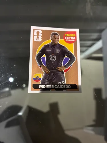 Moisés caicedo