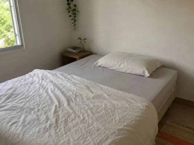 Cama