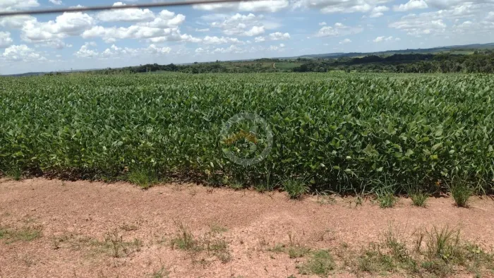 Fazenda em Silvania de 10 Alqueires com agua , 4 km do Asfalto