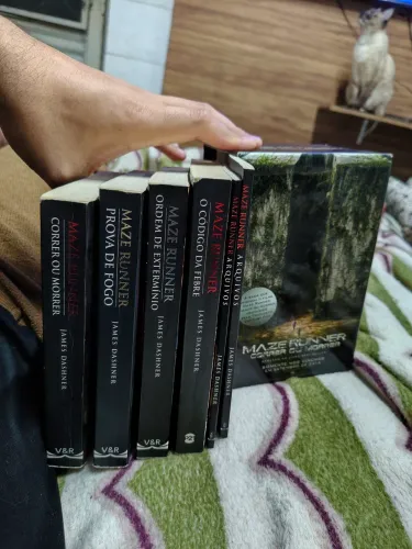 Lote de livros com box