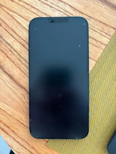 iPhone 13