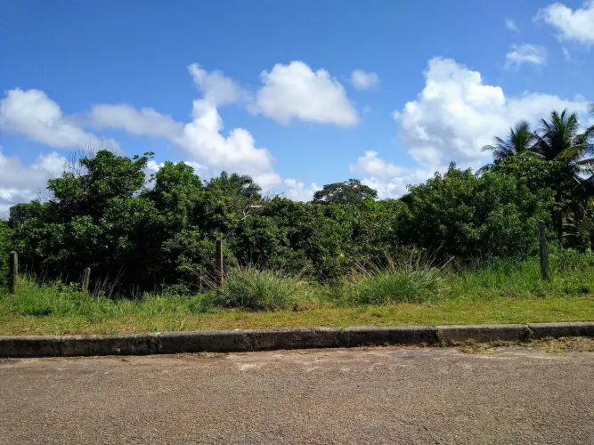 Vendo terreno barra de Jacuípe 