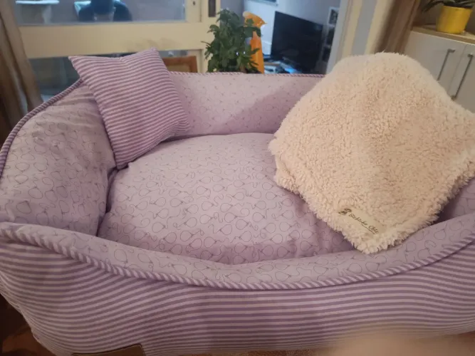Cama pet com cobertinha