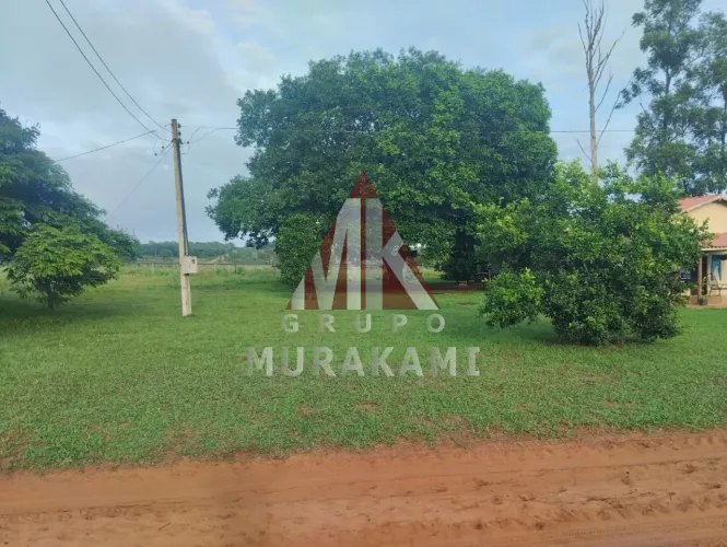 FAZENDA - CAMPO GRANDE - MS