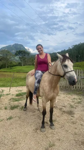Cavalo baio marchador