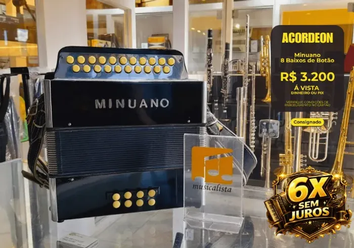 Acordeon 8 Baixos de Botão Minuano - Seminova