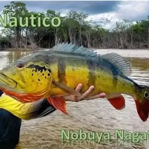 Terreno 200m² em Náutico (de pesca) KM11 - Pereira Barreto/SP