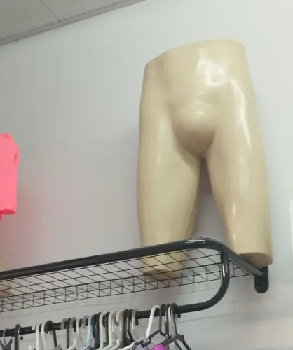 Vende esse manique
