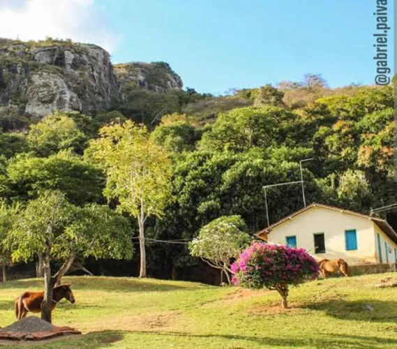 Caseiro - casal oferecem serviços