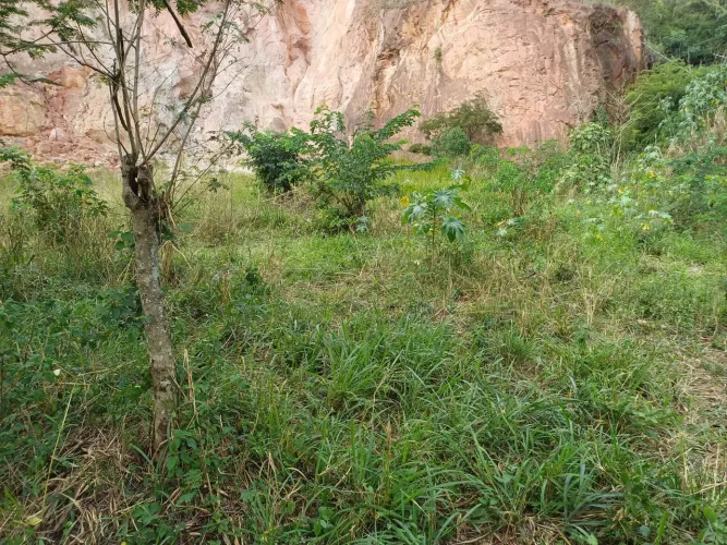 Terreno parcelado saia do aluquel