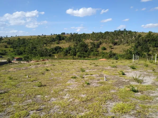 Terreno 8x20 Guadalaja