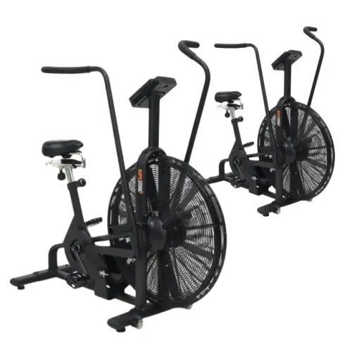 Bicicleta ergometrica