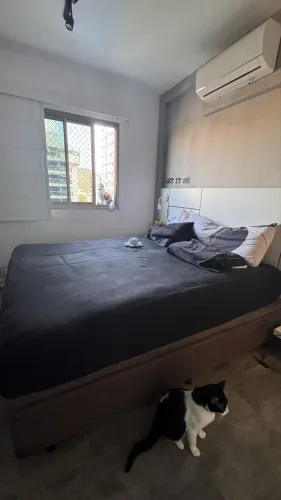 Cama Box Baú Euro Colchões 