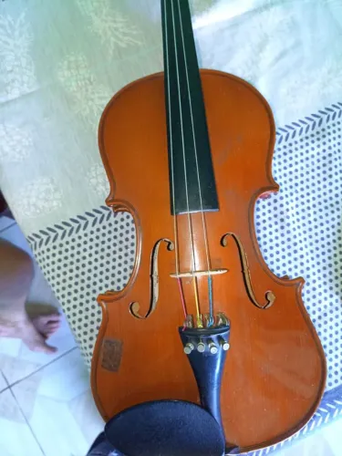 Violino ?
