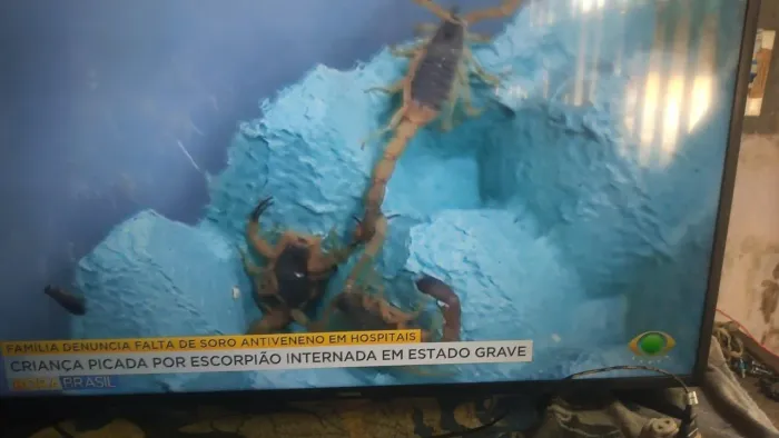 Tv Samsung 43 polegadas