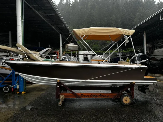 LANCHA 20 MERCURY 115 HP. 4 TEMPO