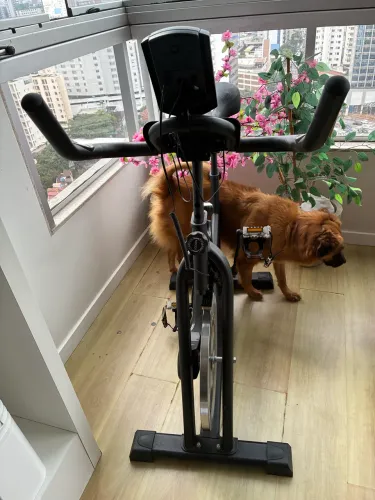 Bicicleta Ergométrica Spinning Mecanica 5kg Chase Odin Fit.