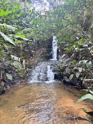 2 HECTARES COM CACHOEIRA! AO LADO DA FLUSS HAUS