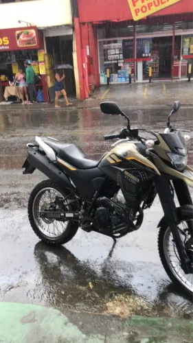 Vendo Lander 2023