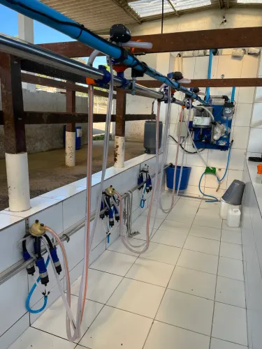 Ordenha canalizada 4 conjuntos com medidores