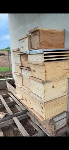 12 Caixas de abelhas, 14 melgueira e 4 enxames fortes