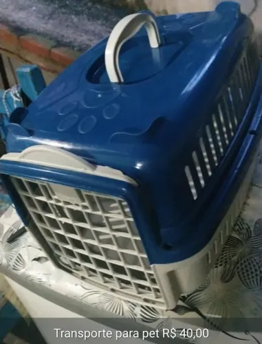 Caixa Transporte para Pets