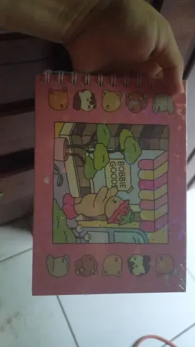 Conjunto de livros pra pintura bobie goods 