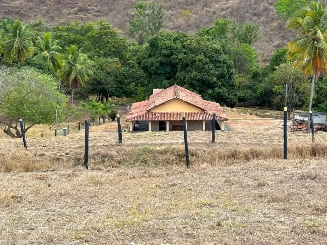 Fazenda para criação de gados em Minas Gerais.