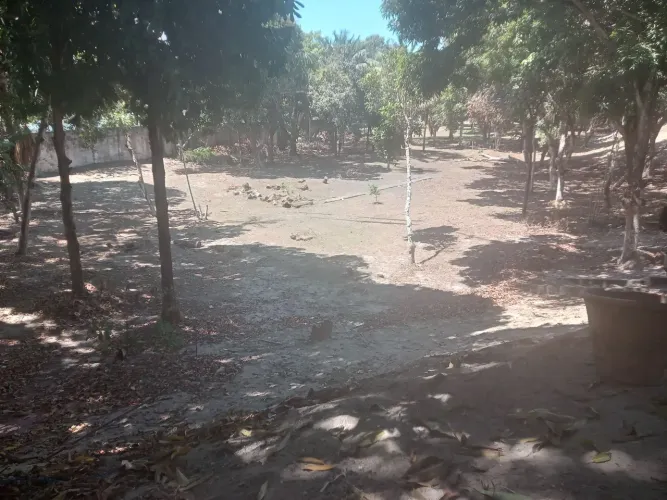 Trabalho com jardinagem