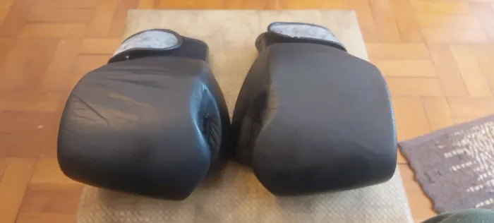 Luvas de boxe ou muay thai
