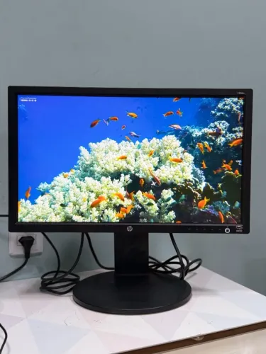 Opção 1 Monitor 20 Polegadas HP E2011p-bn LED VGA e DVI com Ajuste de Altura - Excelente