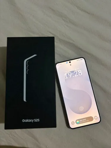 Samsung Galaxy S25