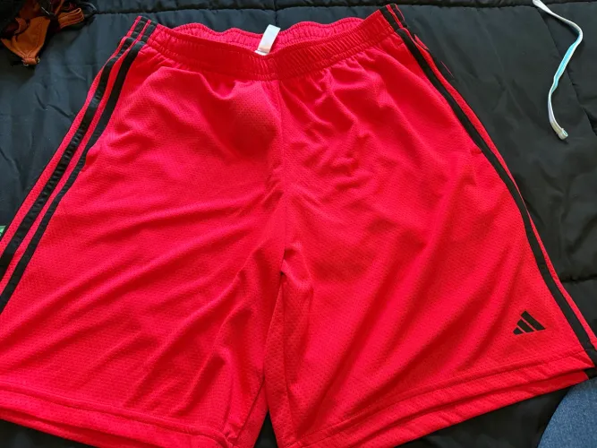 Bermuda adidas aeroready original