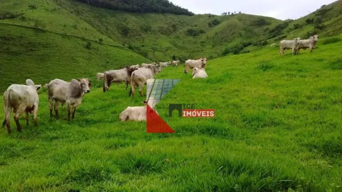 Fazenda à venda, por R$ 25.260.000 - Centro - Adrianópolis/PR