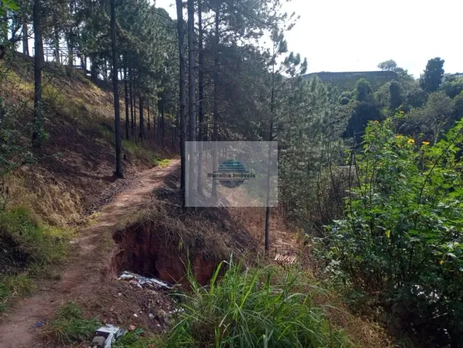 Terreno à venda, 6941 m² por R$ 1.041.150,00 - Vila Rosina - Caieiras/SP