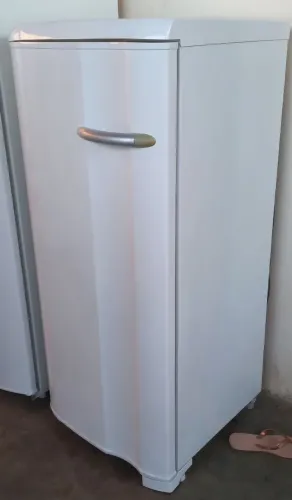 Freezer vertical