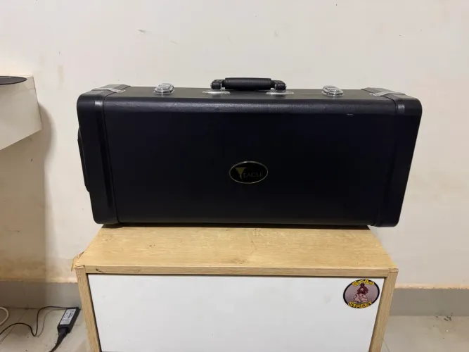 Trompete Eagle Tr504 Sib Profissional + estojo original