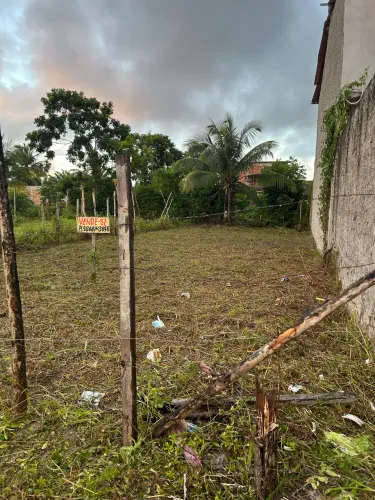 Vendo esse terreno em vera Cruz Aratuba