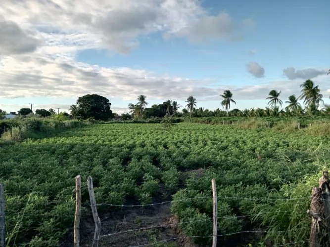 Vendo terreno em frente a fazenda Maratá