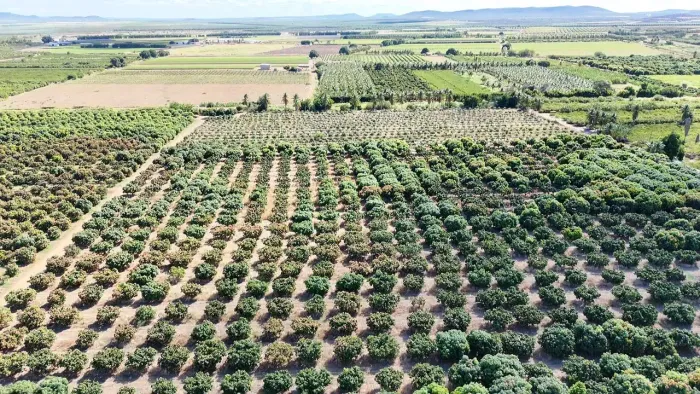 LOTE À VENDA!