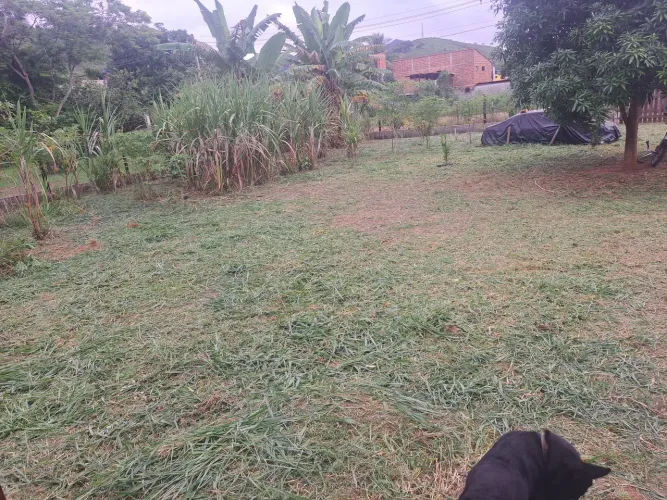 Roçada mecânica em terrenos, lotes e quintais.