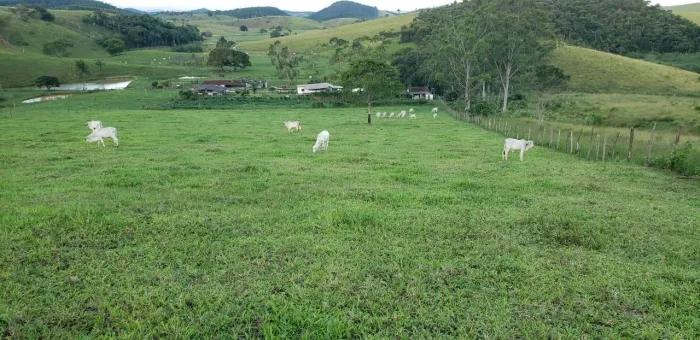 Fazenda para Venda em Rio Bonito, Boa Esperança, 2 dormitórios, 1 banheiro