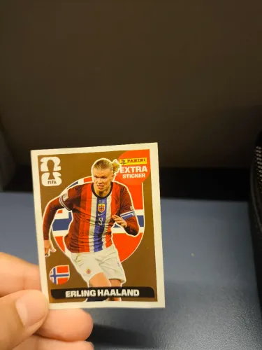 HAALAND LEGENG BRONZE