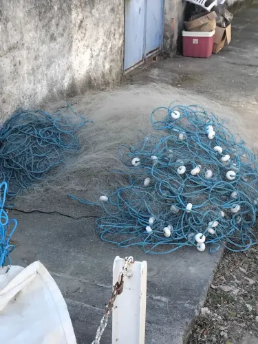 Rede pesca camarão
