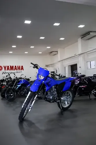 TTR 230 Modelo 2025 A moto para descobrir o mundo off road