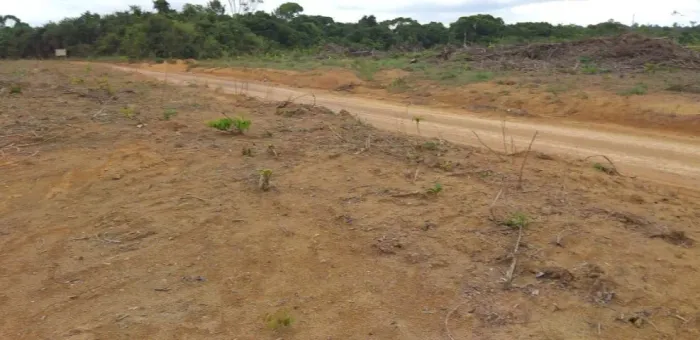 600 alqueires com 285 alqueires de abertura dupla aptidão plana 45 mil o alqueire