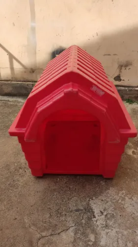 Casinha de cachorro 