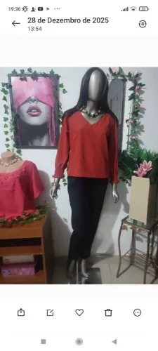 Blusas de Crepe Duna com Mangas Compridas e decote V.
