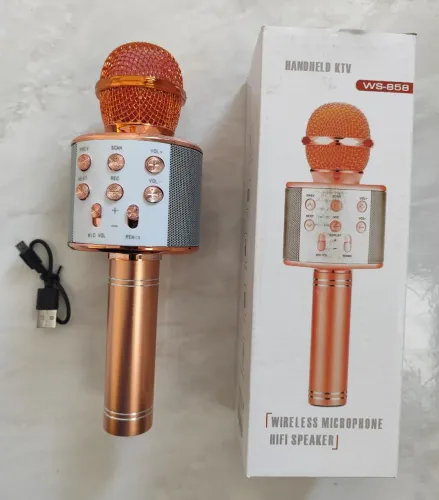 Microfone Karaokê Sem Fio WS-858 - Novo